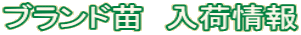 �u�����h�c�@���׏��